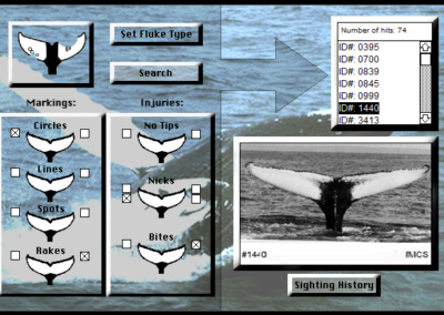 Screenshot of the WhaleNet Guide 1997