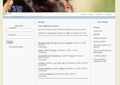 A screenshot of the Micro Macro website